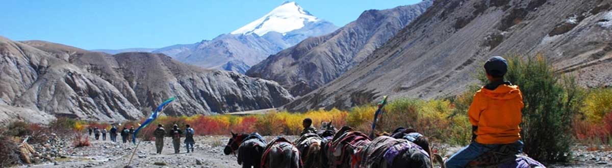 Leh Ladakh Adventure Tours